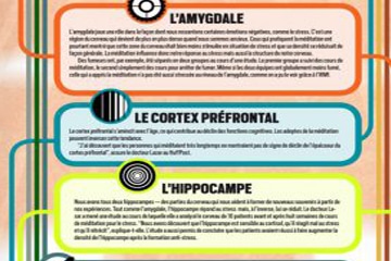 infographie méditation
